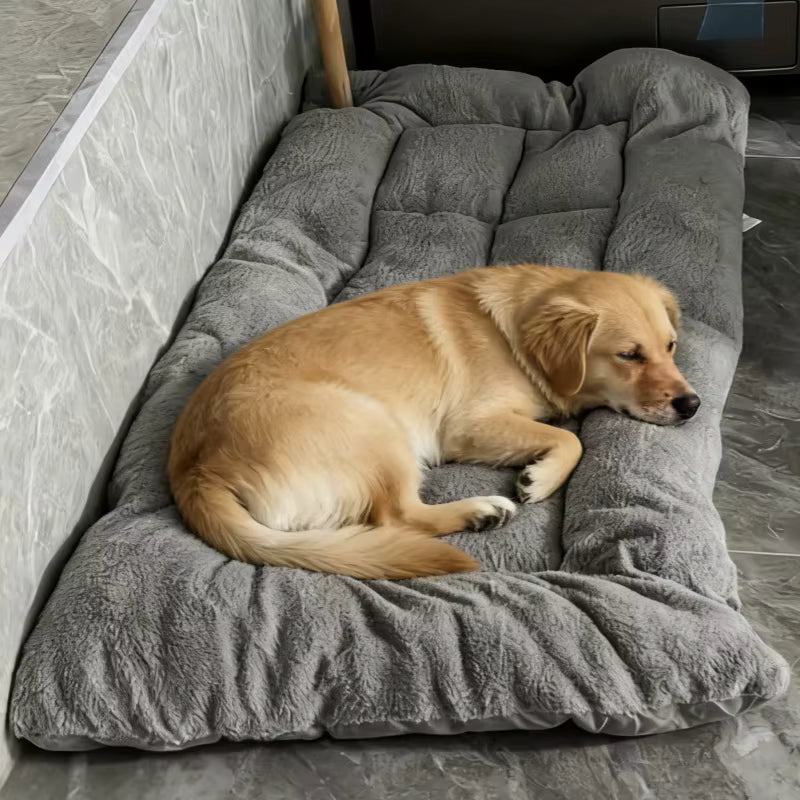 coussin pour chien avec chien qui dort