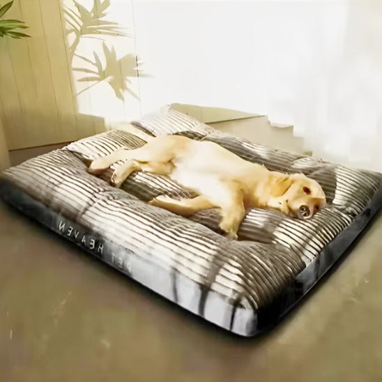 Coussin pour chien coloris gris