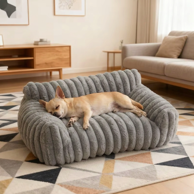 Canapé pour chien avec chihuahua allongé