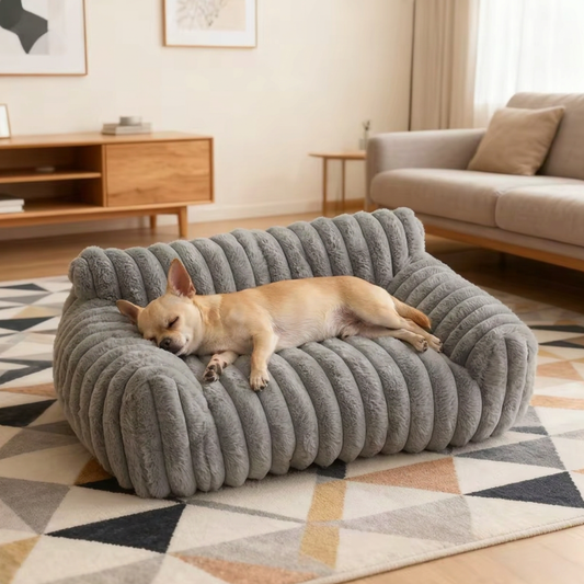 Canapé pour chien avec chihuahua allongé