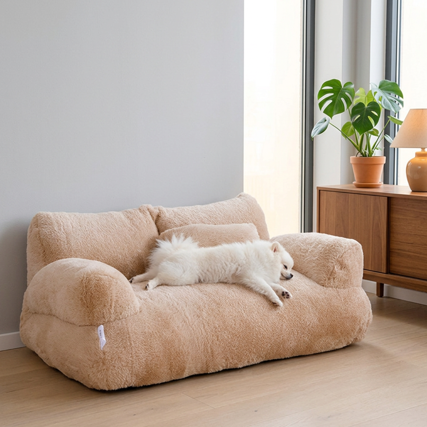 Canapé pour chien avec loulou allongé