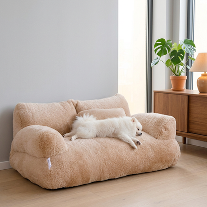 Canapé pour chien avec loulou allongé