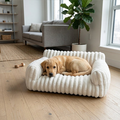 Canapé pour chien coloris blanc