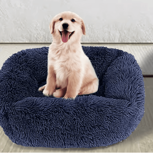 coussin chien avec chiot