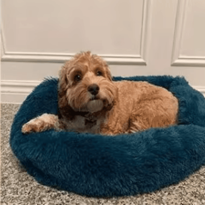 coussin chien avec doodle