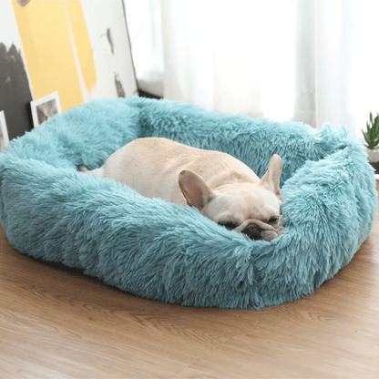 coussin chien coloris bleu