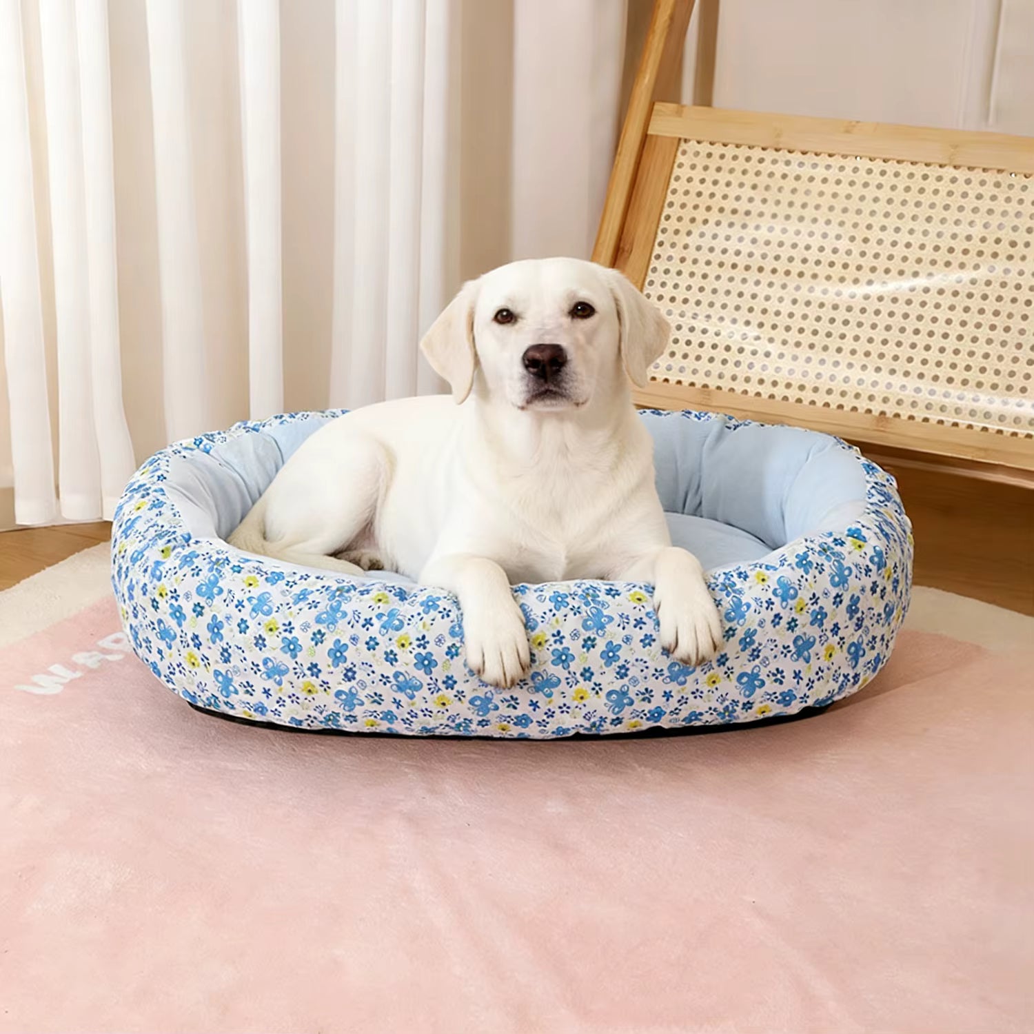 coussin chien confort optimal avec labrador