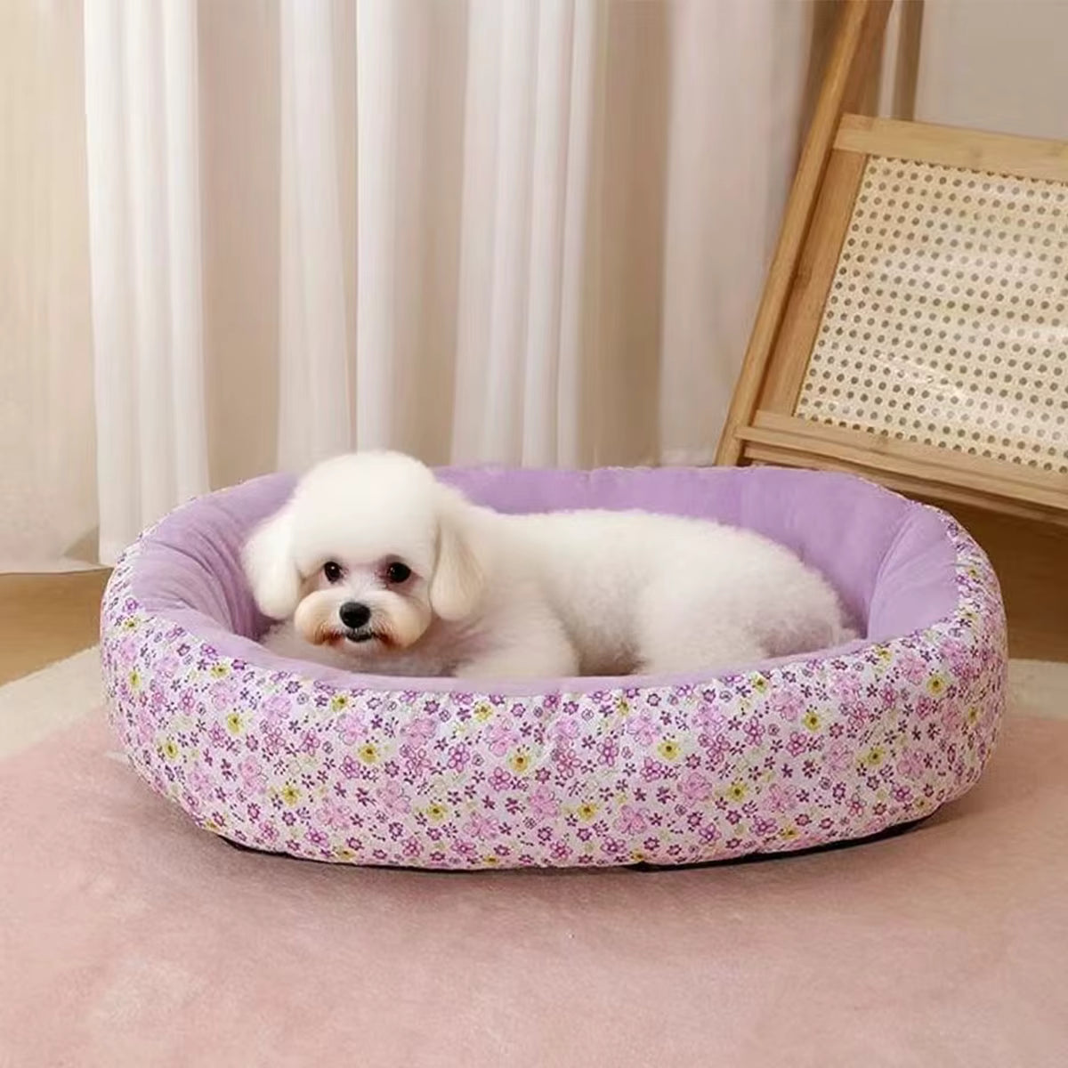 coussin chien confort optimal violet