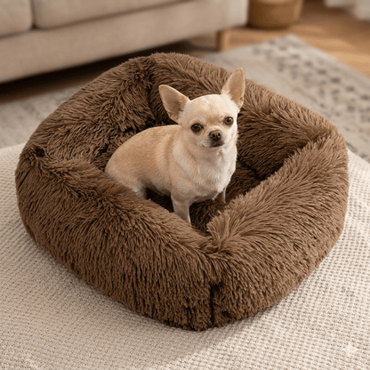 coussin chien coloris marron