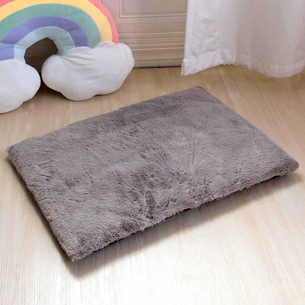 coussin chien gris