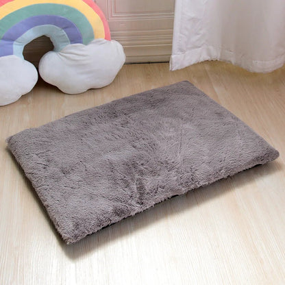 coussin chien gris