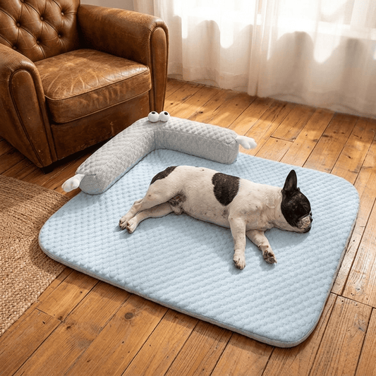 Coussin chien avec bouledogue qui dort