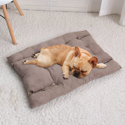 coussin chien ultra confort avec bouledogue qui dort