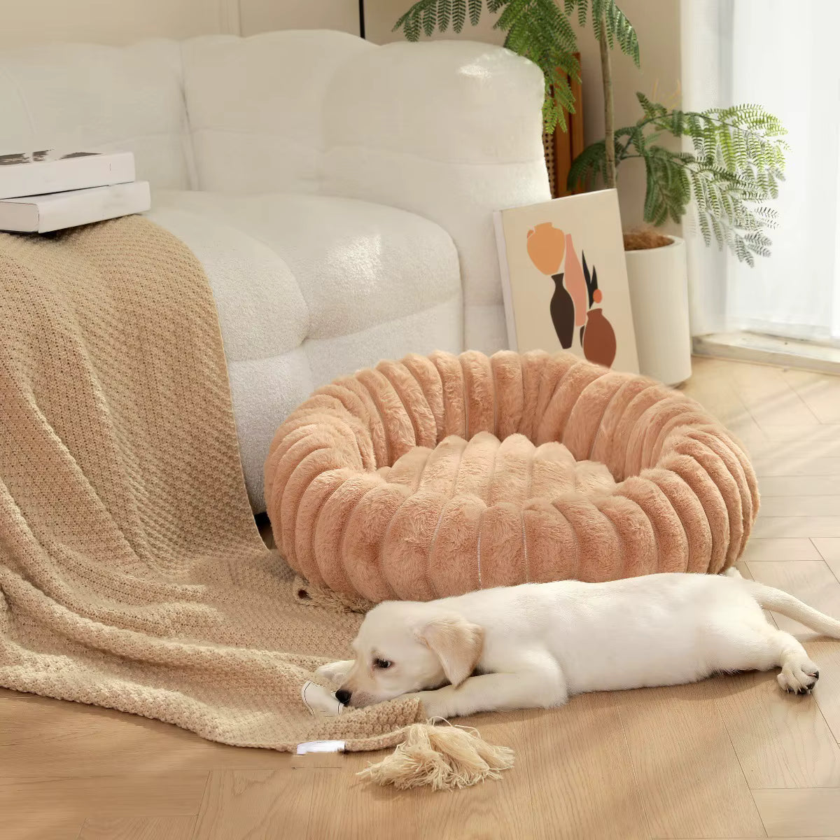 coussin pour chien avec chien qui dort sà côté