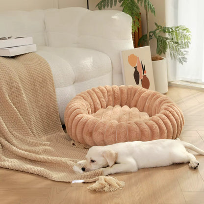 coussin pour chien avec chien qui dort sà côté