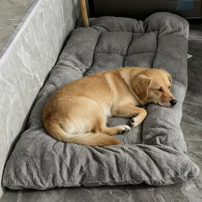 coussin pour chien avec chien qui dort