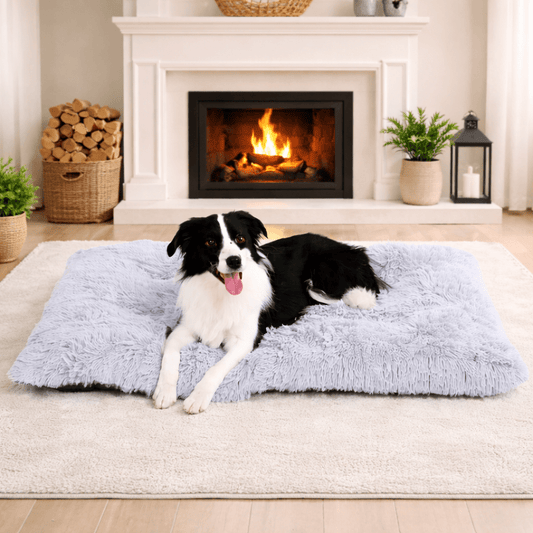 Coussin pour chien bordre collie