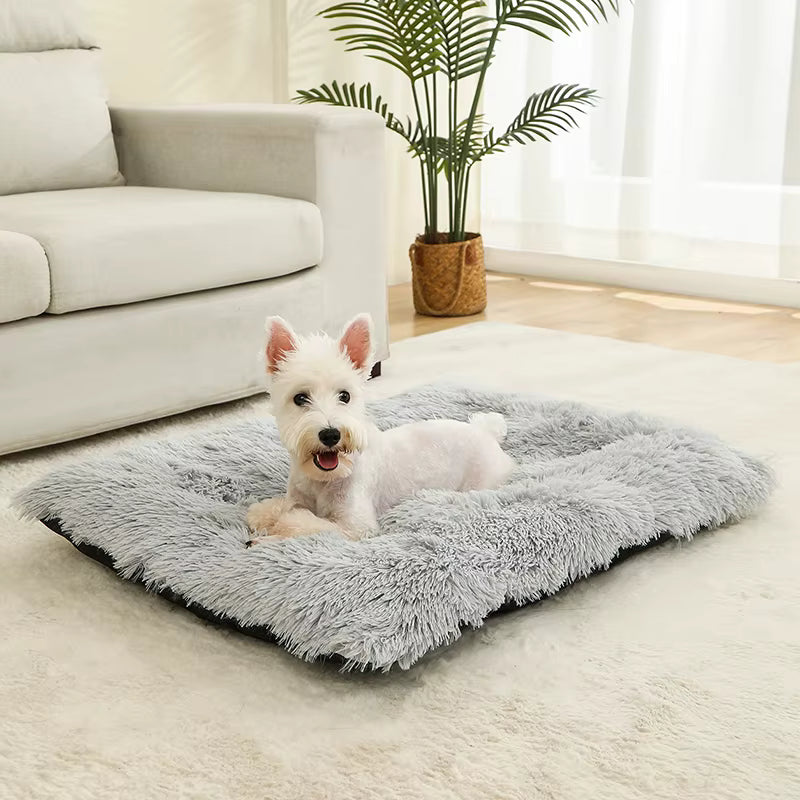 coussin pour chien coloris gris