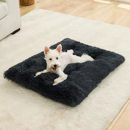 coussin pour chien coloris noir