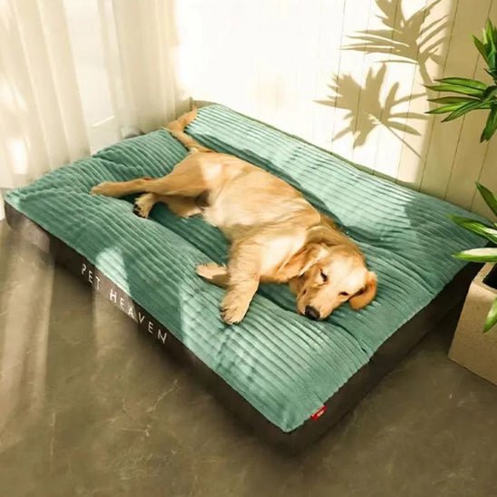Coussin pour chien coloris vert