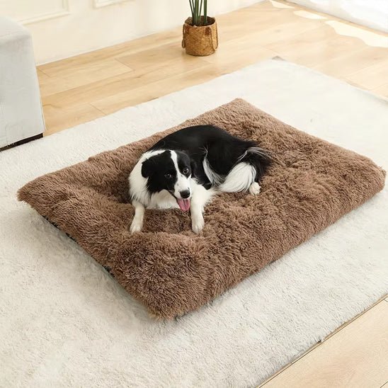 Coussin pour chien  marron