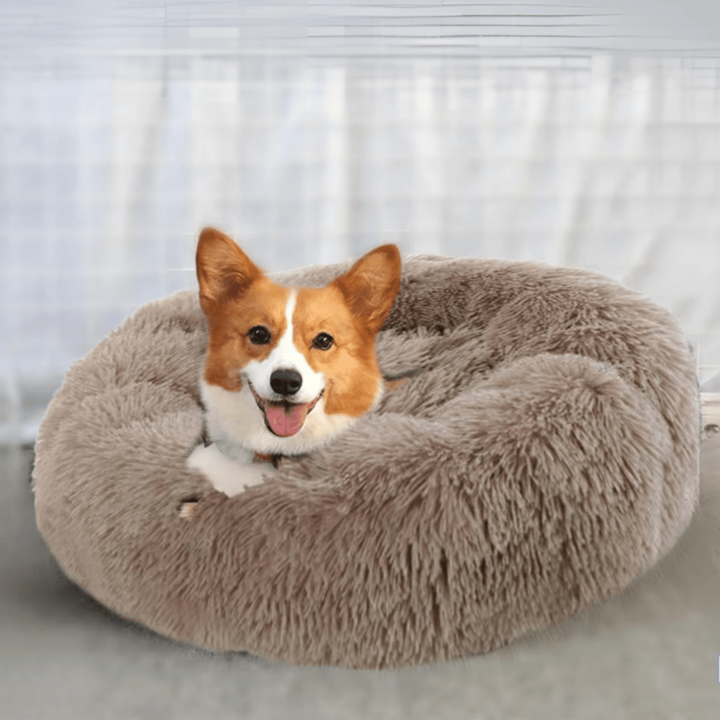 coussin pour chien Ultra Doux Peluche  avec un corgy