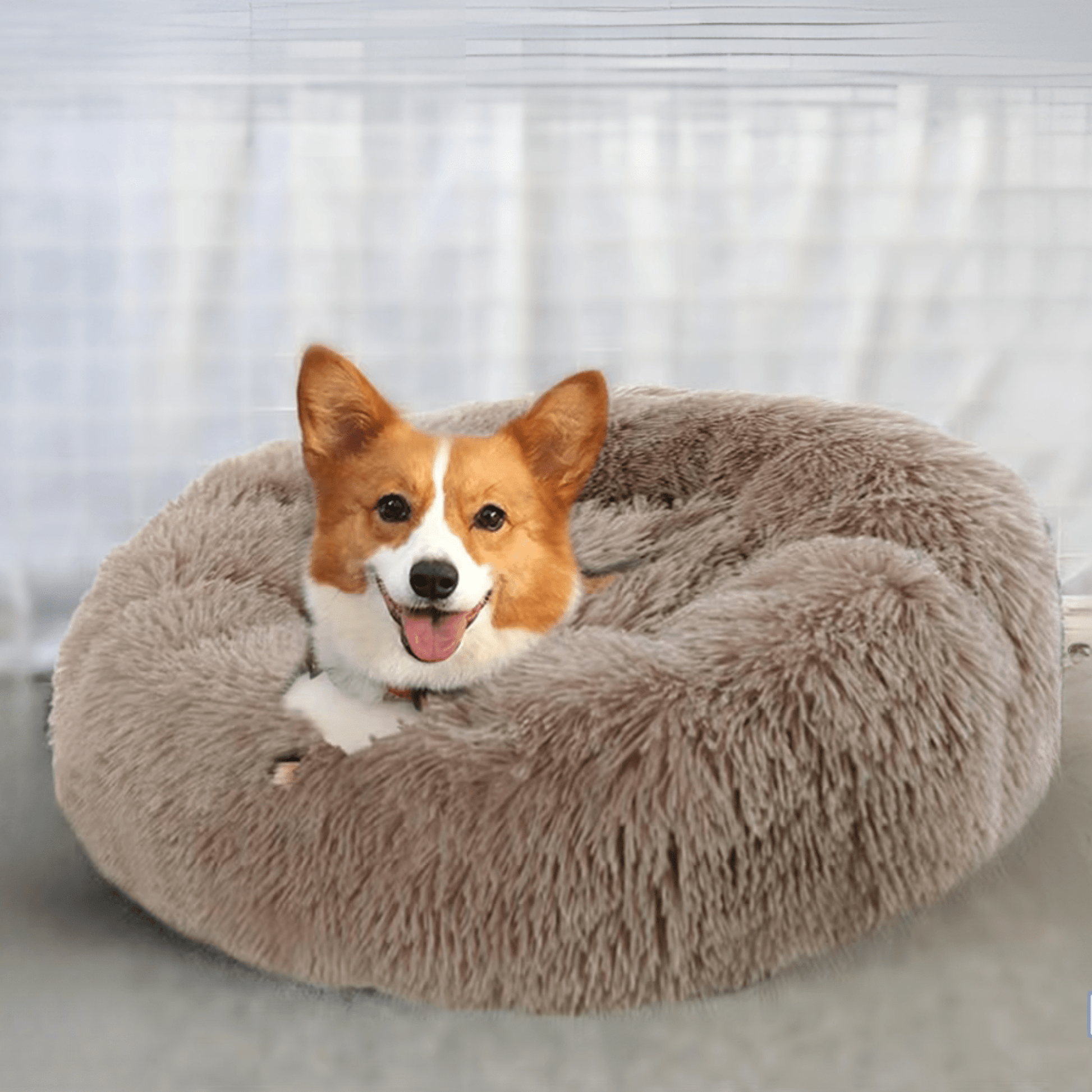 coussin pour chien Ultra Doux Peluche  avec un corgy
