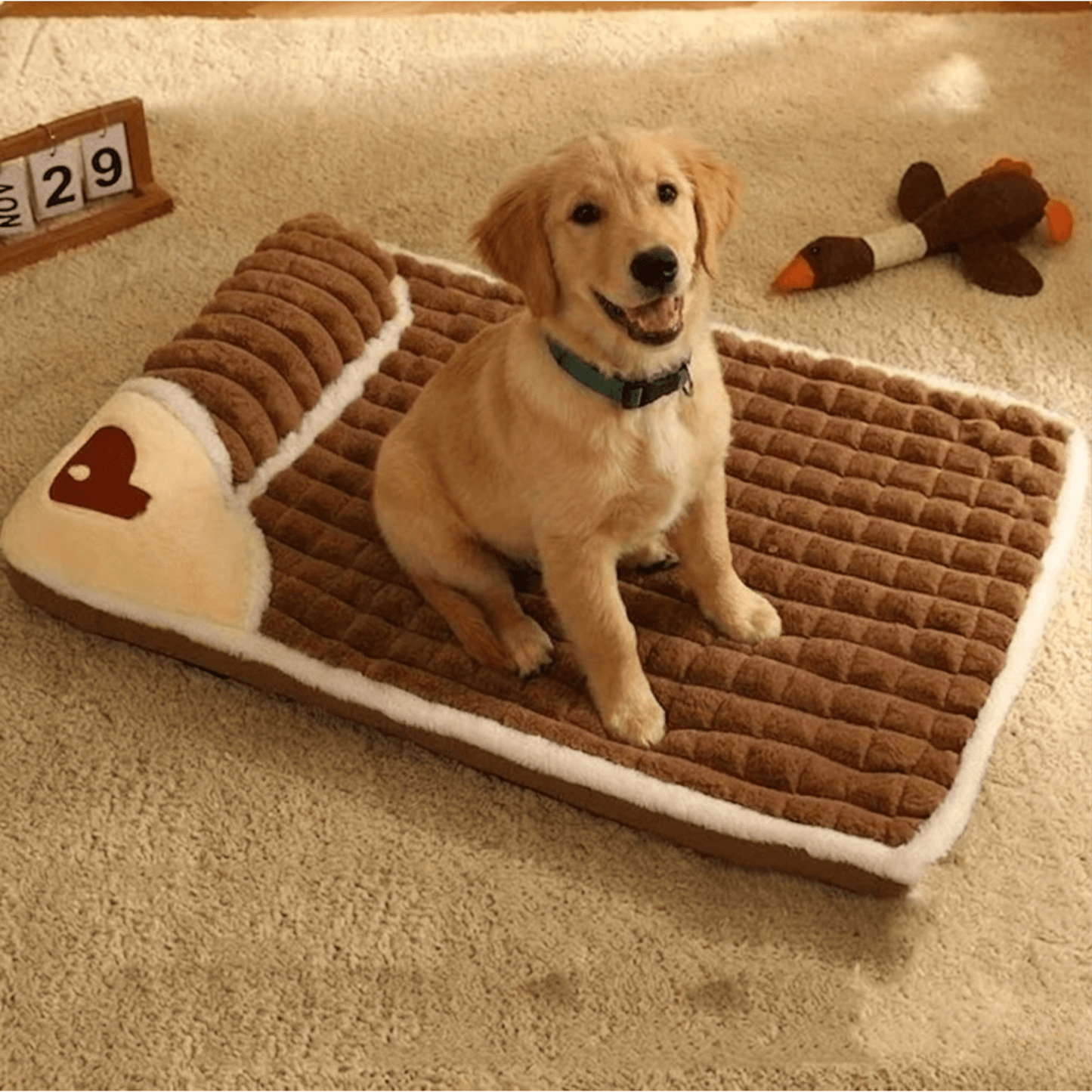 Lit pour chien avec chien assis