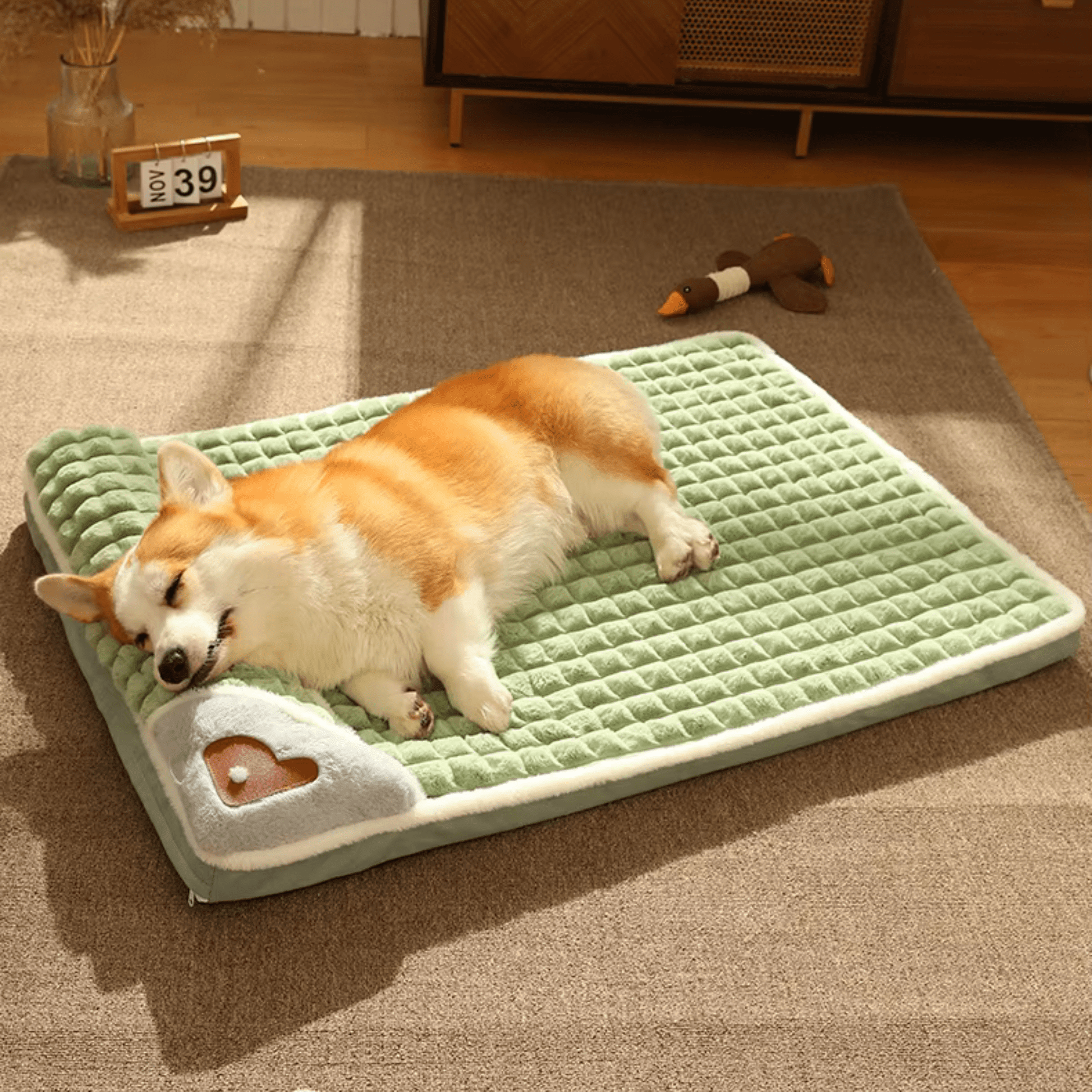 Lit pour chien avec corgi