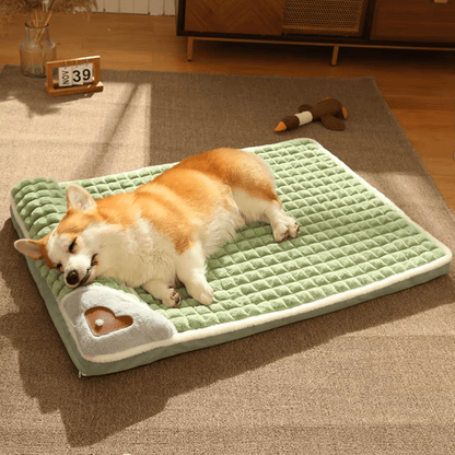 Lit pour chien avec corgi
