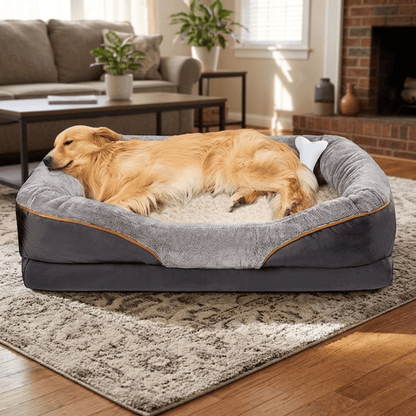 lit pour chien avec golden retriever qui dort