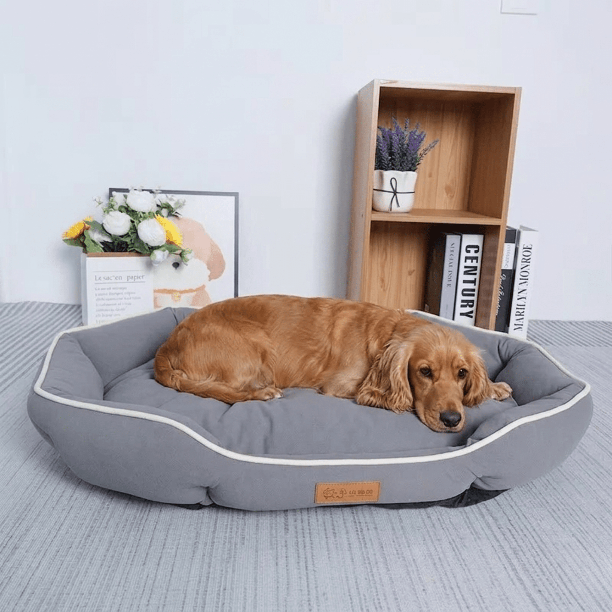 Lit pour chien confort et soutien - Royal toutou