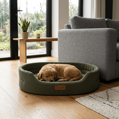 Lit pour chien imperméable à rebords surélevés - Royal Toutou
