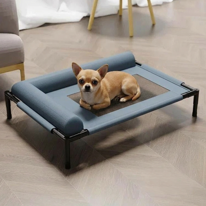 Lit pour chien surélevé avec chihuahua