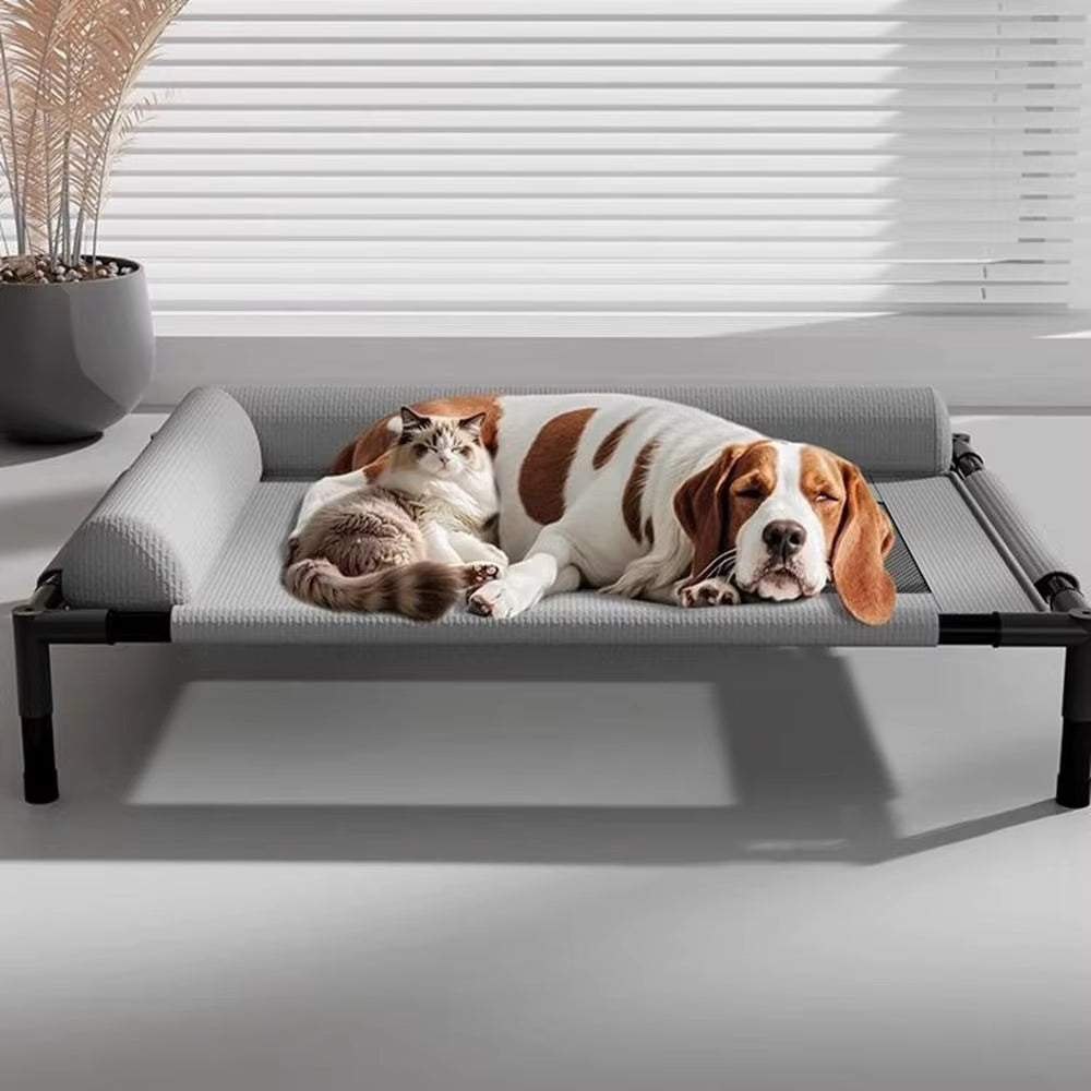Lit pour chien surélevé avec un chat et un chien