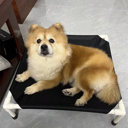 Lit surélevé pour chien avec petit chien marron