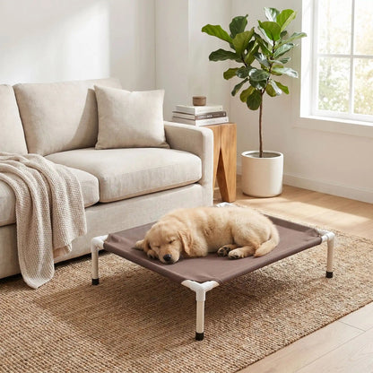 Lit surélevé pour chien et respirant - Confort et fraîcheur toute l'année - Royal toutou