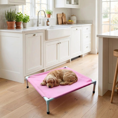 Lit surélevé pour chien et respirant - Confort et fraîcheur toute l'année - Royal toutou