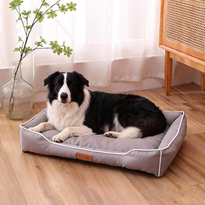 Panier chien avec border collie
