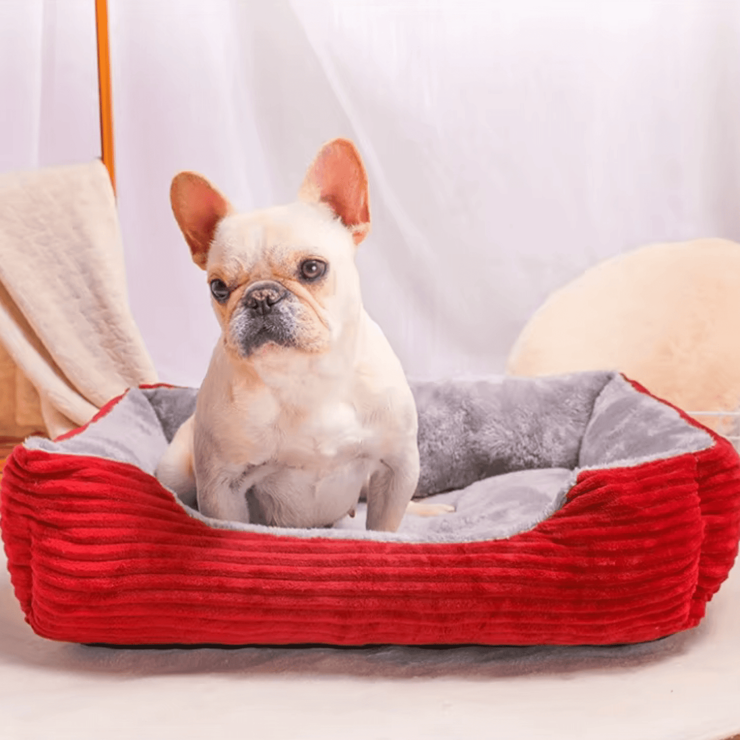 Panier  chien avec bouledogue beige