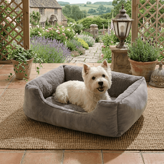 Panier chien avec westie