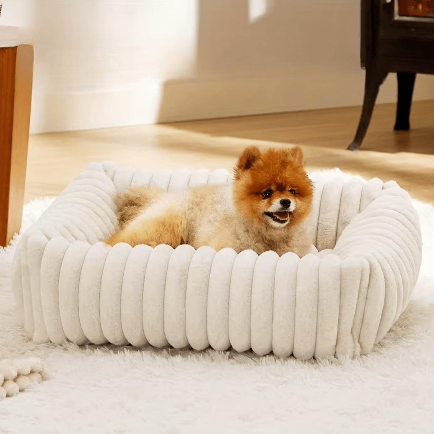 Panier chien blanc
