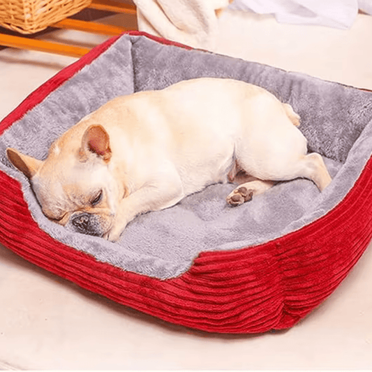 Panier  chien bouledogue en train de dormir