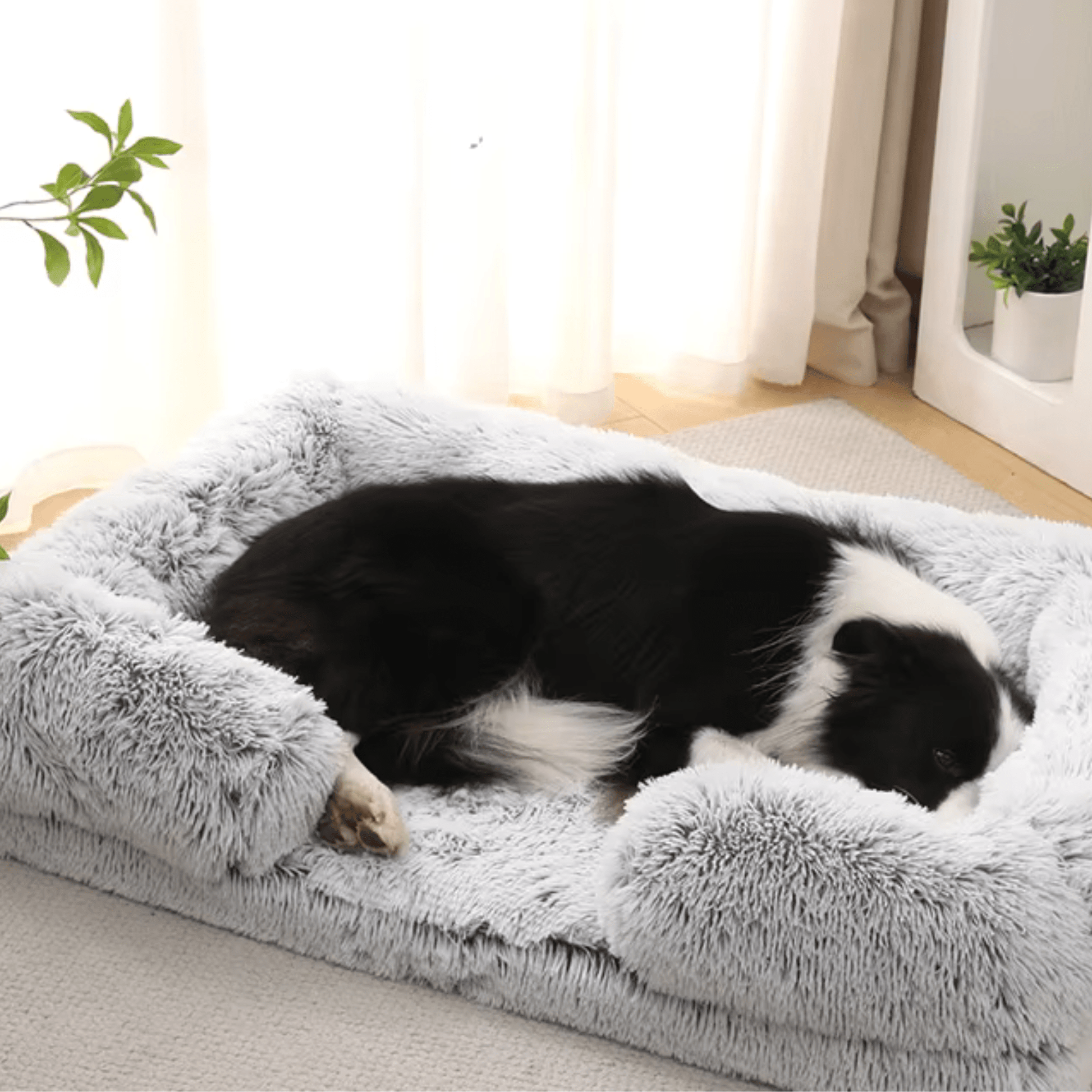 Panier chien | Ultra - confort et antidérapant - Royal toutou