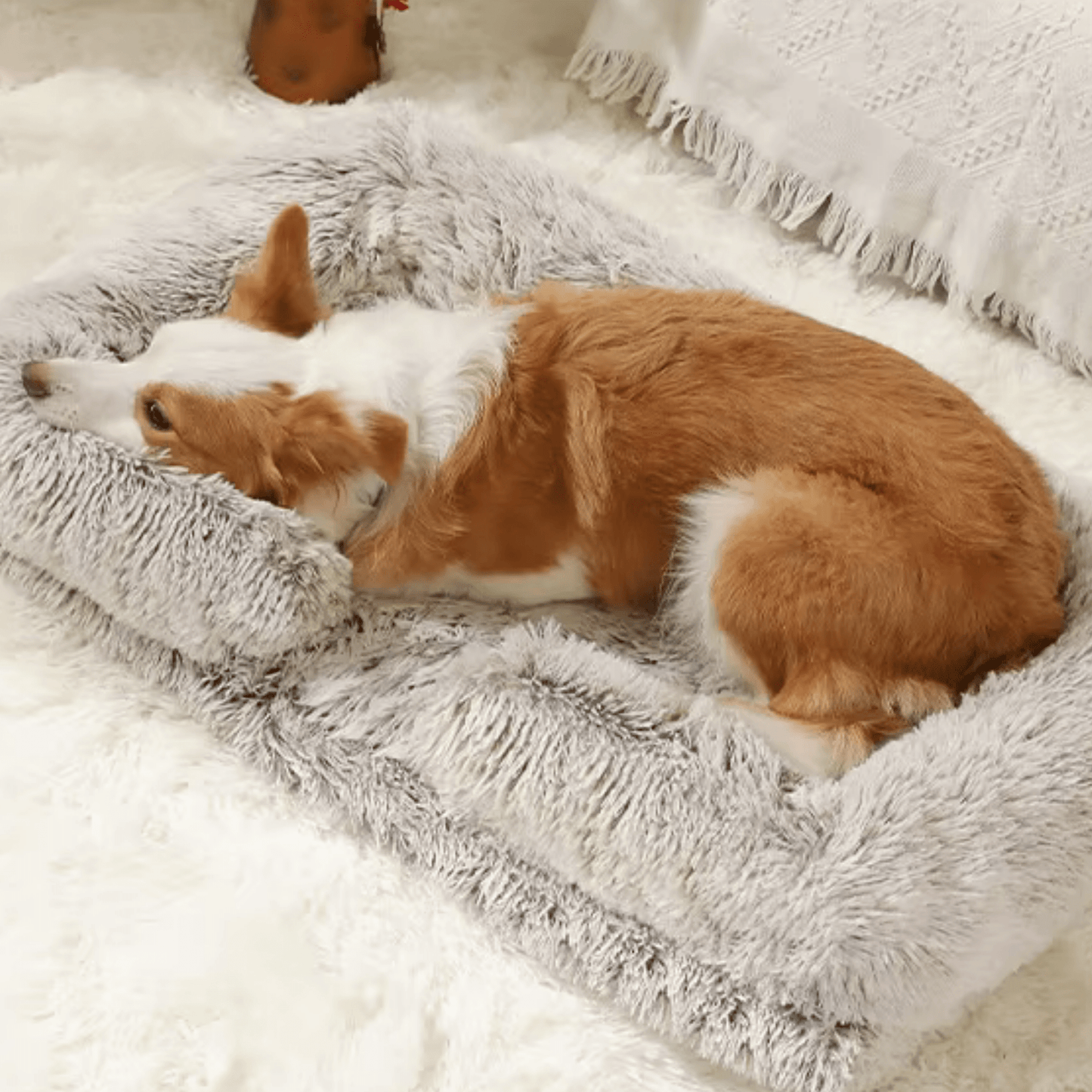 Panier chien | Ultra - confort et antidérapant - Royal toutou