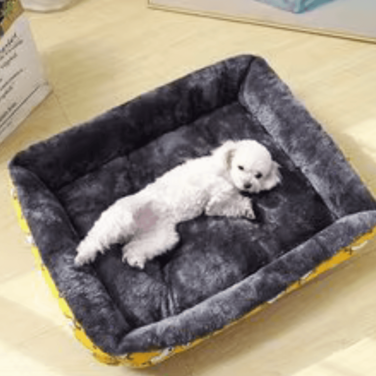 Panier pour chien avec caniche blanc