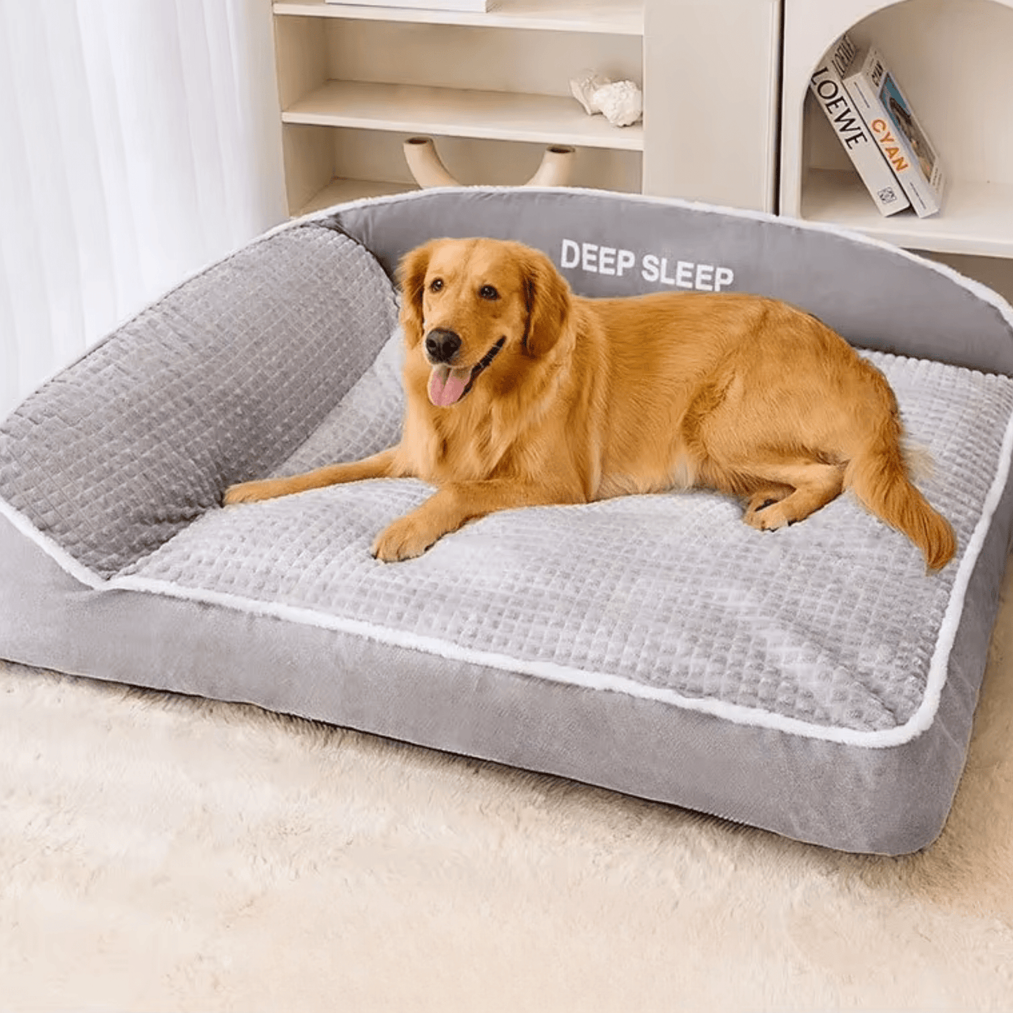 Panier pour chien avec chien marron