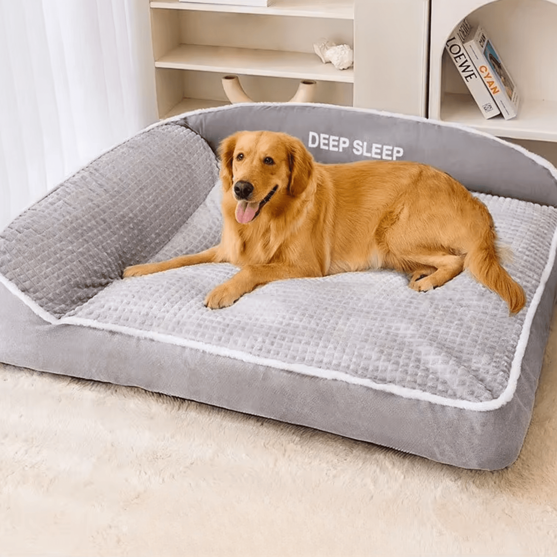 Panier pour chien avec chien marron