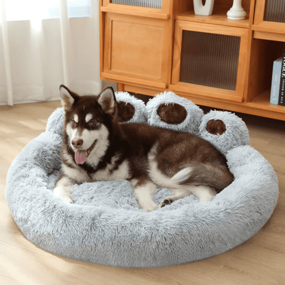 Panier pour chien avec husky
