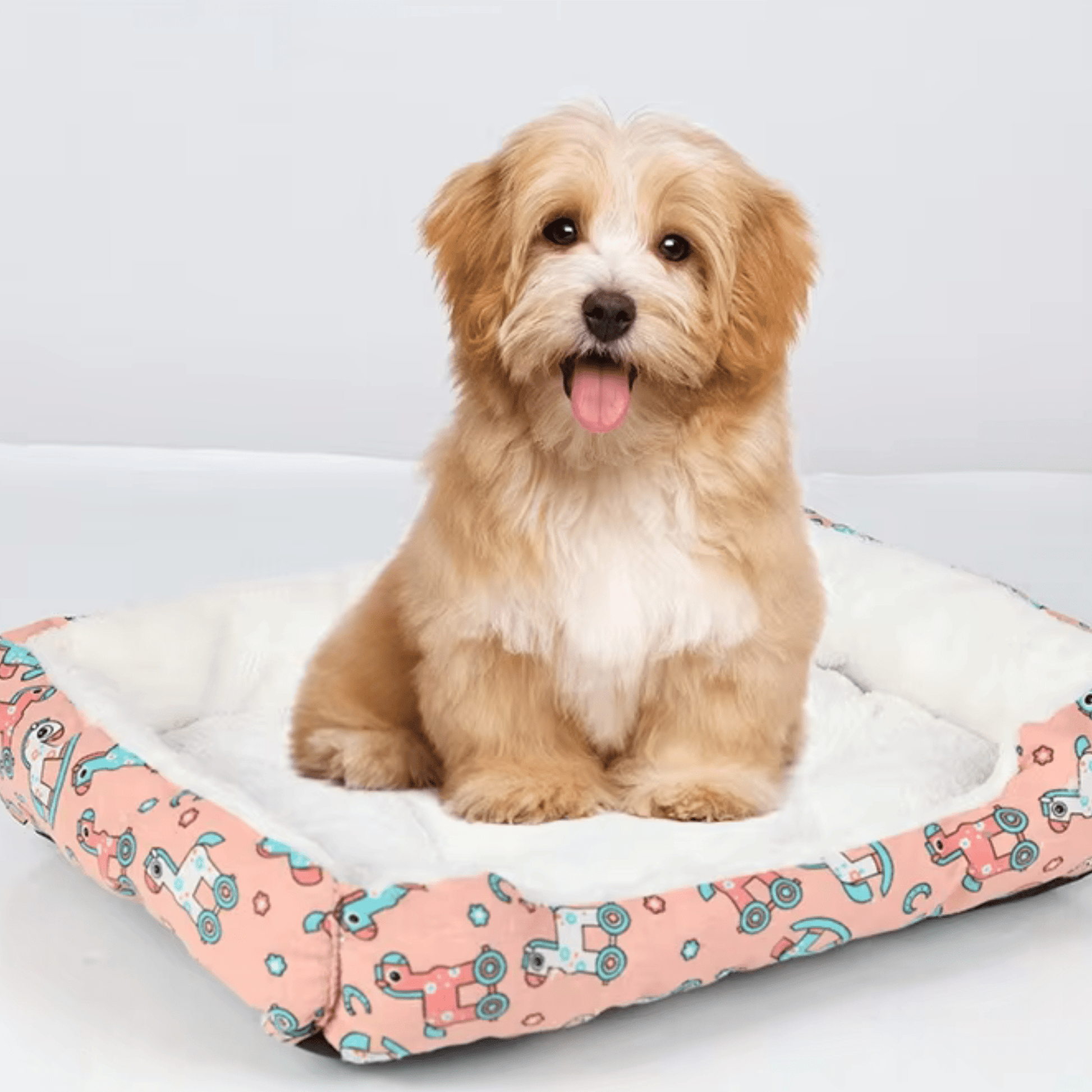 Panier pour chien avec un lhasa apso